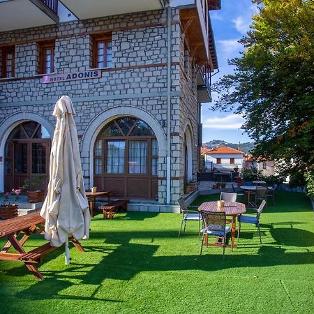 Hotel Adonis Μέτσοβο Εξωτερικό φωτογραφία